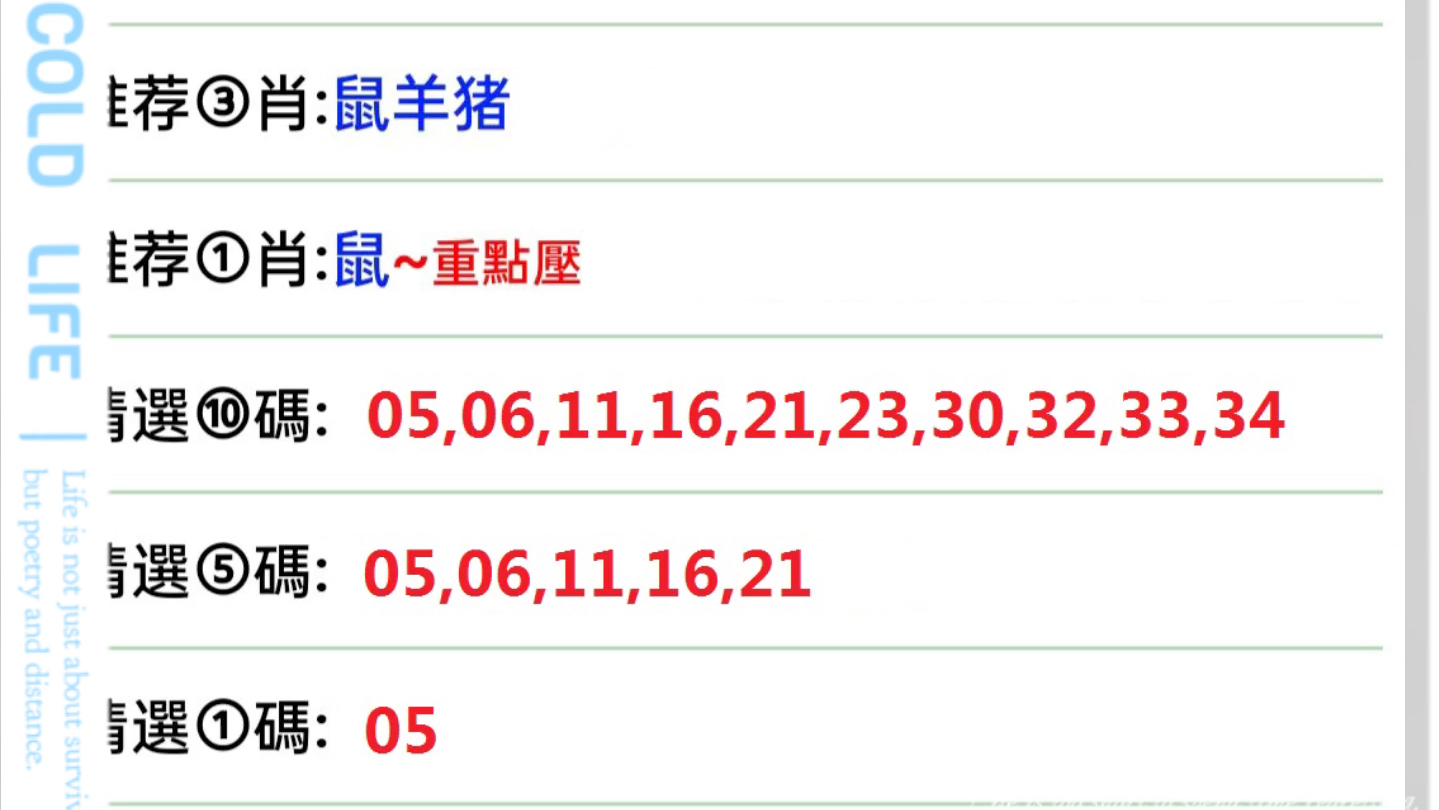 2025澳门特马今晚开奖097期,澳门特马今晚开奖097期，期待与理性的博弈