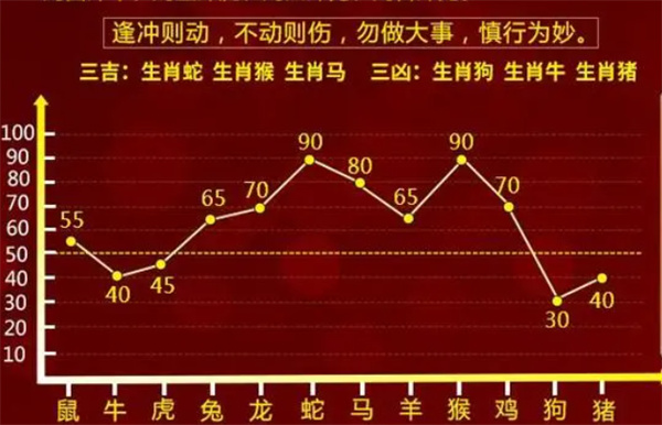 一肖一码100,一肖一码，探索数字世界的独特魅力与无限可能