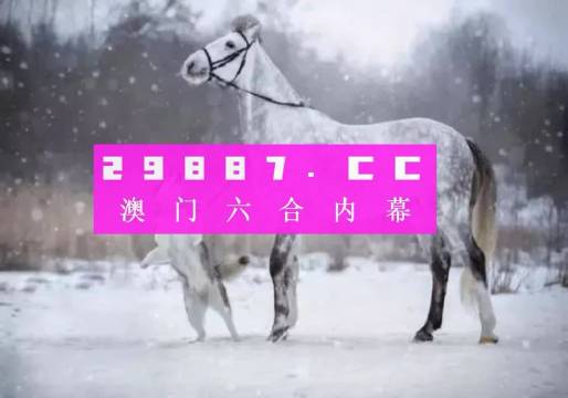 今晚一肖一码澳门一肖com,今晚一肖一码澳门一肖揭秘与探索