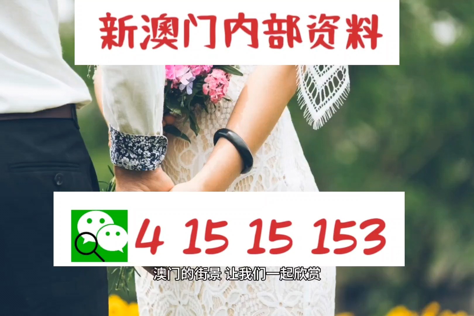 2025新澳精准资料免费提供148期 11-14-22-33-42-45Q：08,探索未来之门，新澳精准资料免费提供（第148期）