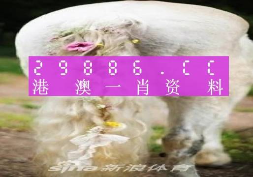 2023澳门正版全年免费资料056期 17-18-26-30-37-40E：27,探索澳门正版全年免费资料，解码未来之秘的征途（第056期）