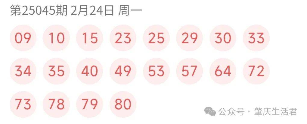 2025今晚澳门开奖结果查询072期 04-06-14-20-29-46G：35,关于澳门彩票开奖结果查询——第072期与特定号码组合的分析报告（关键词，今晚澳门开奖结果查询，第072期，特定号码组合）